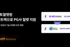 헥토월렛원, PG사 스테이블코인 월렛 지원…"규제 대응·기술 내재화 해결"