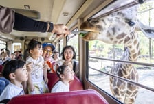 어린이날 연휴 '총출동'…에버랜드, 공연·사파리·물놀이까지 풍성