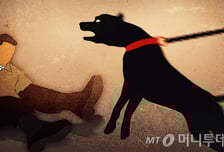 멧돼지 잡는 사냥개에 죽은 반려견…견주는 골프채 휘두르며 사투