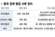 중국차의 또 다른 전략…직접 진출보다 무서운 '간접 침투'