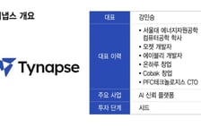 천연덕스러운 'AI 헛소리' 잡아낸다…보안 AI에 주목한 투자자들