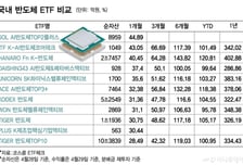 K반도체 ETF만 31개…도대체 뭘 사야하나요?[ETFvsETF]