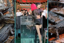 "악어 수조에 갇혀 비명"...어린 소녀들 공포 질린 모습보며 '키득'