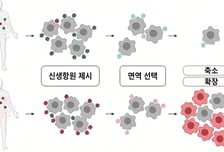 SCL사이언스 자회사 "단일세포 빅데이터로 암백신 기술 혁신"