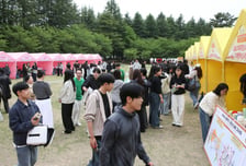 대구가톨릭대, 'DCU 라이즈 잡 페스타' 개최...학생 3700여명 몰려