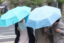 [내일 날씨] 전국에 봄비 소식…기온 떨어져 '낮 최고 19도'