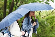[오늘 날씨] "우산 챙기세요" 봄비 소식…미세먼지는 '좋음'