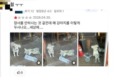 성시경 다녀간 '용산 맛집'..."빈 가게에 14살 강아지 버리고 떠났다"