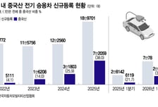 미국 장벽 높일 때 한국은 '하이패스'…중국 전기차, 강남에 깃발 꽂았다