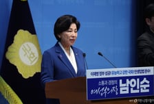 '국회 부의장 출마' 與 남인순 "국힘 반대로 개헌 무산돼도 지속 추진"