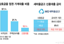 정부가 겨냥한 상호금융… '상호부조'라더니 가계 신용대출 10%뿐