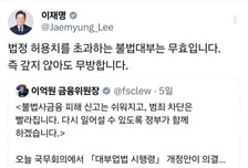 이재명 대통령도 쓰는데… '불법 대부업', 명칭 변경 쉽지 않네