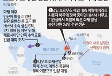 기로에 선 트럼프 "작은 전쟁, 한국도 도와라"…호르무즈 韓선박 화재