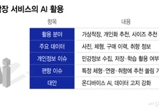 "내 룩북, 여기저기 떠돌면 어쩌지?"...패션 AI 그림자