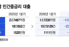 저축은행 중금리대출 1조 증발… 신용시장 '도넛 구멍' 대책 없네