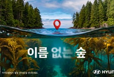 현대차, 바다숲 지키는 '이름 없는 숲' 캠페인 전개