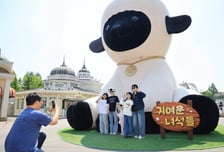 에버랜드에 '세상에서 가장 귀여운 양' 떴다…흑비양 인기 '폭발'