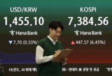주가 1만원 올라도 130원 썼다...한국인 유독 '찔끔 소비' 이유가