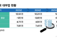 무너진 대부업… 불법사금융 내몰릴 저신용자는 어떡하나