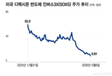 "순식간에 70% 손실"...반도체 뛰는데 서학개미 '헛다리 베팅'