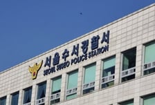 강남 성형외과 업무폰 훔친 60대, 저장된 환자 사진 보고 음란행위