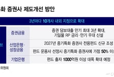 '중기특화 증권사' 제도개선에도…중소형사들 시큰둥