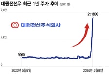 전력 인프라 투자 수혜 어디까지…전기장비株 '불기둥'