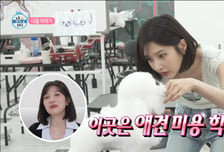 조이 "가수 못 하게 되면 기술 필요"…애견미용 자격증 도전