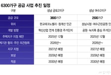 집 부족한데 공급은 7년 뒤?…"이사 갈 곳 없어요" 전월세도 흔들