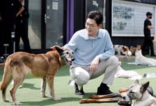 정원오, 펫팸족 표심 겨냥 "입양부터 장묘까지 맞춤형 복지 제공"