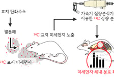 "미세먼지, 뇌·간까지 침투"…KIST 체내 미세먼지 측정 기술 개발