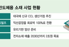 AI 반도체 슈퍼사이클 타고… K소재기업도 증설 '가속도'