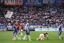 관중 많아진 K리그, 심판·잔디 문제 여전…문체부, 현장 의견 듣는다