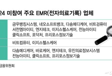 실손 간편청구 '거부' EMR업체, "담합조사 등 강력제재" 칼 뺀 정부