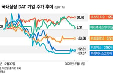 다들 증시 불장에 웃는데…'마이너스 50%' 눈물의 코인주들