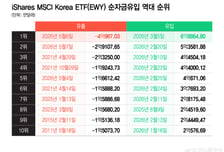 하루만에 6000억 빠진 美상장 '한국 ETF'…차익실현? 추세전환?