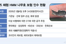 '나무호 피격' 전쟁보험 현실화…호르무즈 선박 '7일 보험'으로 버틴다