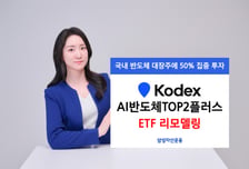 KODEX AI반도체 ETF, 삼전하닉 비중 50%로 늘리고 이름 바꾼다