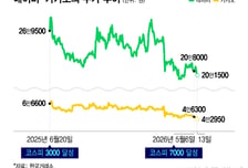 삼전닉스 불 뿜을 때..."네카오 굴욕" 시총 20위권 밖으로