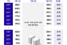 "절세 공백에 '7월'까지 잠긴다"…변수는 '세제 개편'