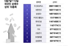 5일간 24조원 판 외국인…반도체 팔고 뭐 샀나 봤더니