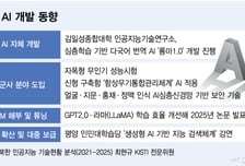 세계대회 휩쓸었던 PC바둑 개발자도 있다...북한 AI 기술에 '깜짝'