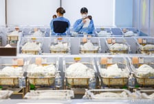 작년 신생아 5명 중 1명은 '난임 지원' 출생…5만명 육박