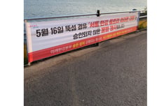 되풀이되는 '우후죽순 마라톤'…손 놓고 있는 정부, 책임은 누가?