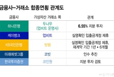 하나-두나무 '혈맹'에 은행들 "허 찔렸다"..합종연횡 빨라지나