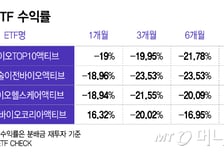 "나도 삼전닉스 살 걸" 후회 이르다?...'-19%' 바이오 ETF '순환매' 기대