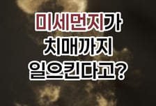[곰국툰] 치매, 미세먼지가 원인?