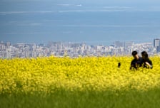 고유가에도 중국인 더 왔다…'중화권 집중공략' 나선 제주도