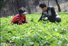 산림청, 임업직불금 수령자 의무준수사항 '완화'