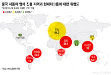 중국車 29개국 석권, 현대차·기아 점유율 뒷걸음..신흥국 전선 흔들린다